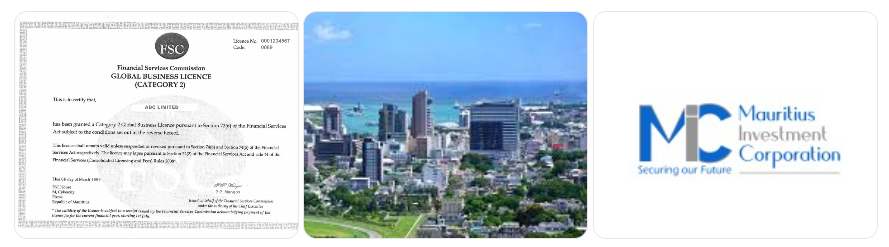 毛里求斯《证券交易商许可证》 毛里求斯《证券交易商许可证》